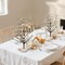 2 Pack Artificial Fall Tabletop Trees with White Pumpkins & Berry Accents, 15 Inch Thanksgiving Centerpieces for Tables, Autumn Harvest Decorations for Mantel, Fireplace, Dining Room & Home Decor